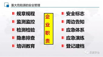 2019年新作 危險(xiǎn)化學(xué)品重大危險(xiǎn)源辨識與化學(xué)品進(jìn)出口管理指南